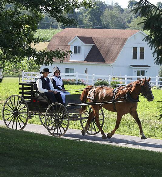Open-Top Surrey carriage style produced by the Amish community in Williamson, County.