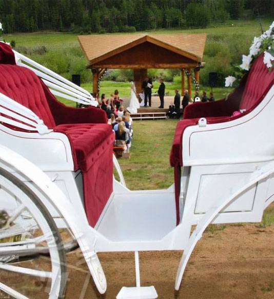 View from white carriage looking down a hill at an outdoor wedding ceremony.