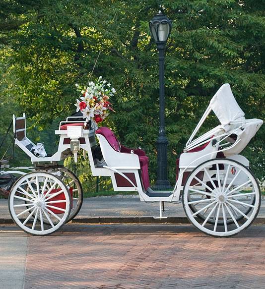 Marion Carriage Vis-a-Carriage style open top produced by Amish community.